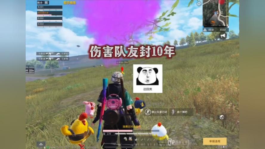 和平精英辅助【极目】